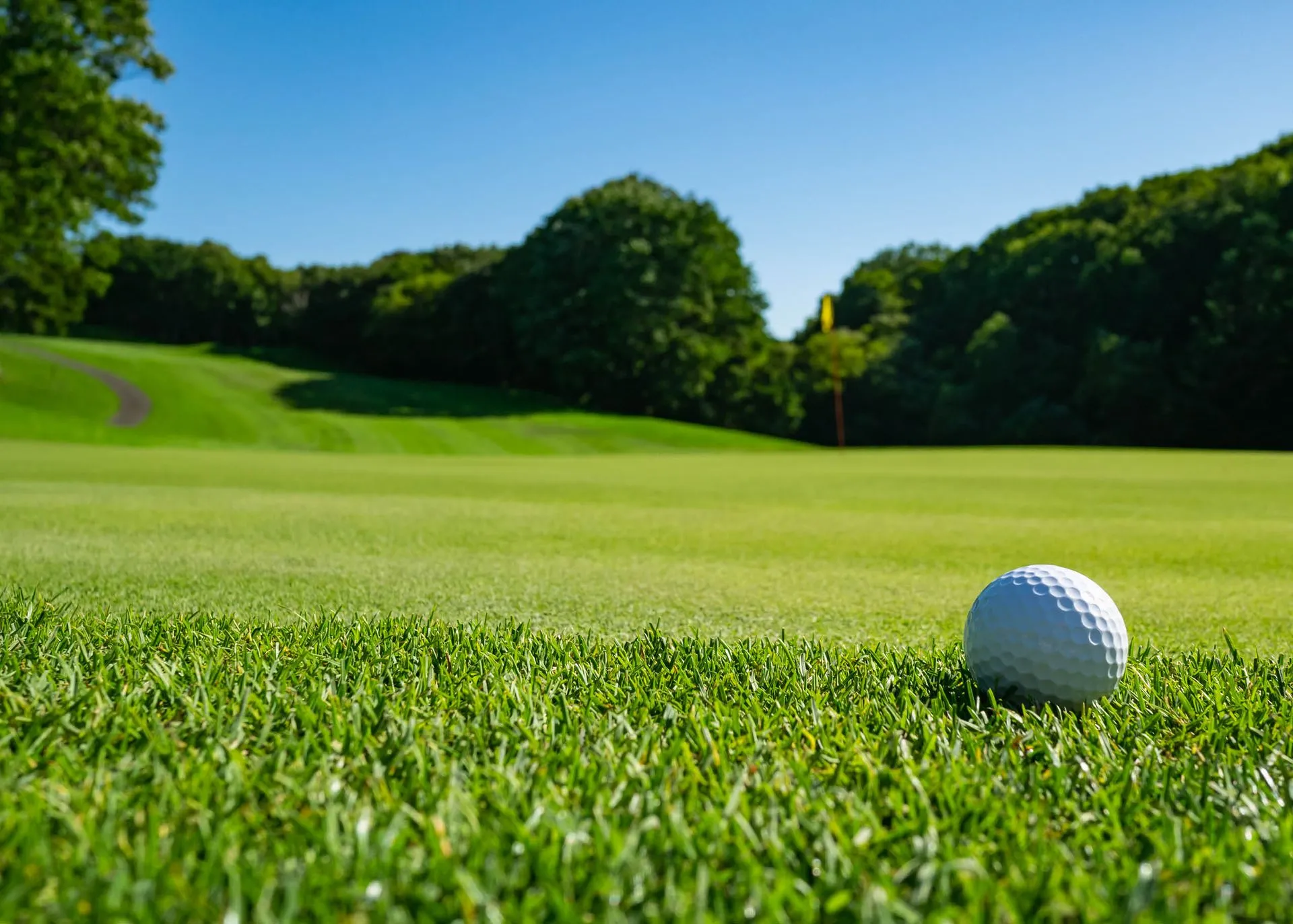 Golf Green